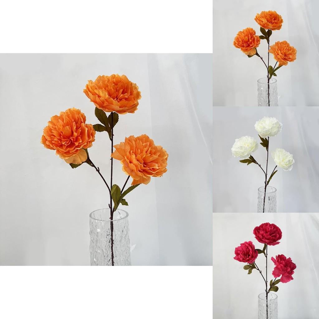 Elegant Artificial Peony And Camellia Silk Flowers For Home Decoration And Photo Shoots