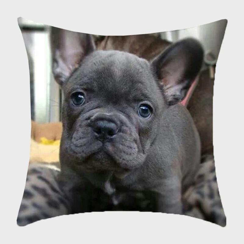 Bulldog Polyester Cushion Cover Modern French Bulldog Pillowcase Sofa Throw Pillow Cover Decorative Pillowcase For Couch Bed Car