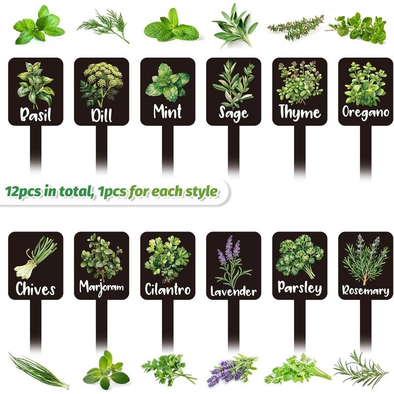 12 stuks Acryl Tuinkruidenborden, Kruidentuin Plantenetiketten Markers voor Buiten Labels Borden met Gedrukte Naam Tuinen Planten Potplanten