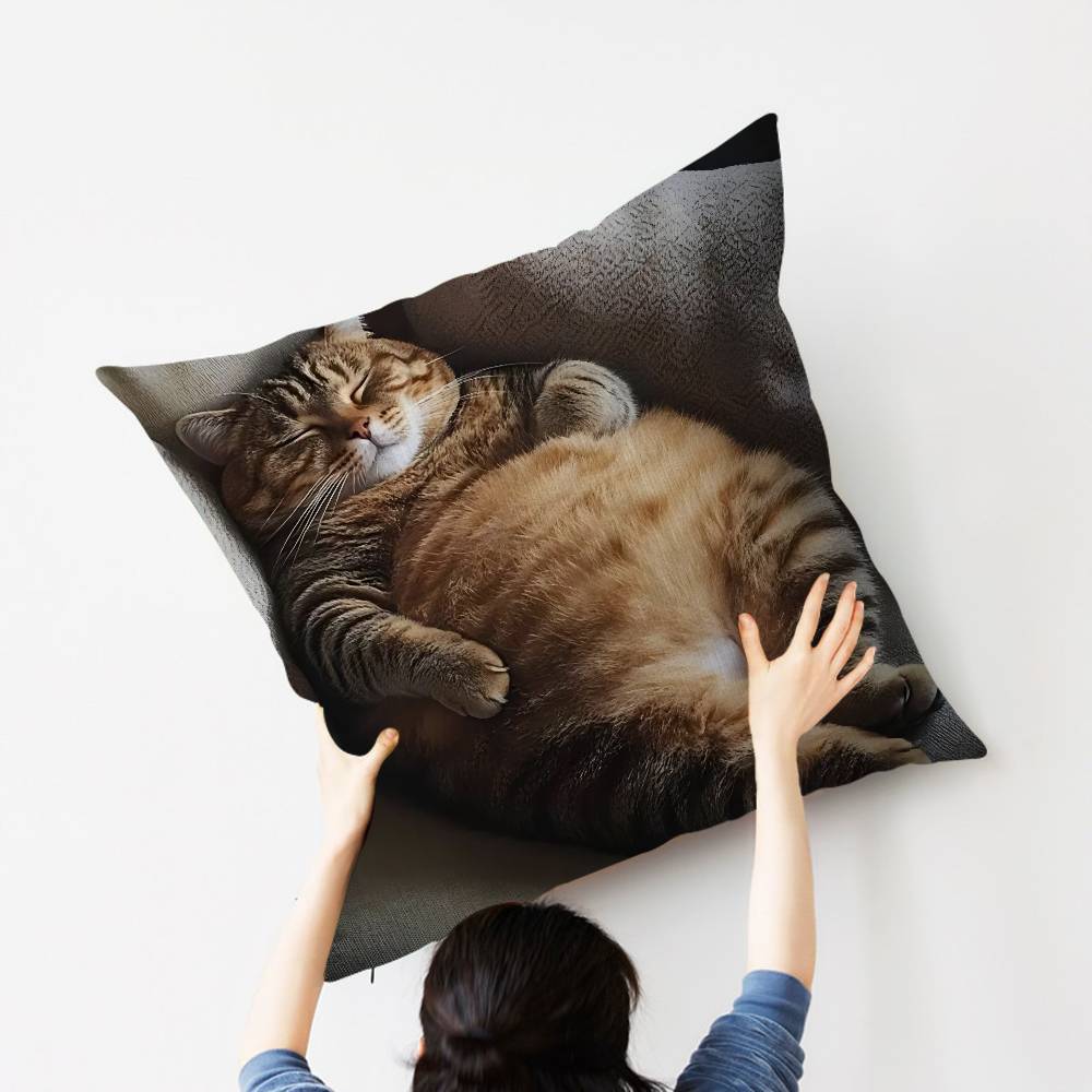 Cat Cute Kitten Stitch Lucky Dragon pillow cover sofa cushion cover home room decoration children gift