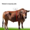 Animal Chest and Girth Measuring Tape for Cows, Pigs, and Sheep