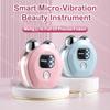 EMS Facial Beauty Device Heating Face Lifting Machine Anti Wrinkle Double Chin Remover Vibration Massage Face Tighting Tool