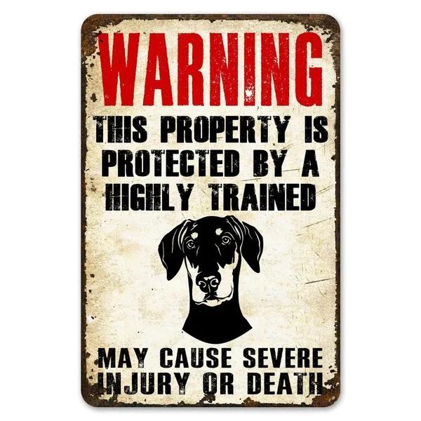 Warning This Property Is Protect By Labradoodle Dog Tin Sign Vintage Farm Decor Art Pet Lover Tin Metal Sign