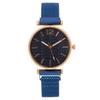 JYL Women's Watch Diamond Magnetic Milan Strap