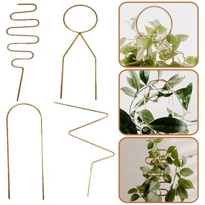 Plant Trellis Rustproof Multifunctional Metal Vine Growth Climbing Rack Garden Supplies