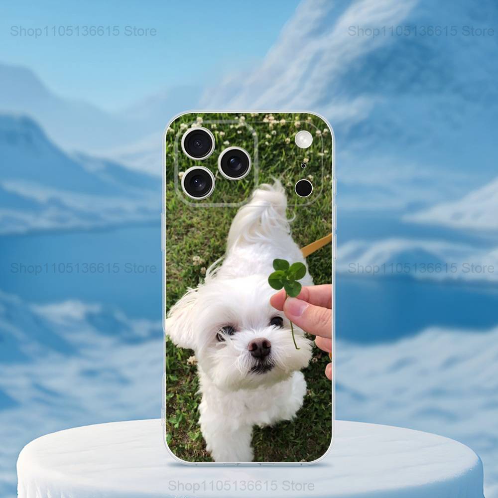 

Cute animal Maltese Dogs Phone Case For iPhone,14,13,XR,SE,12,15,Pro,Max,Plus,11,17,16,X,XS,Mini Transparent Soft Cover iPhone12PRO