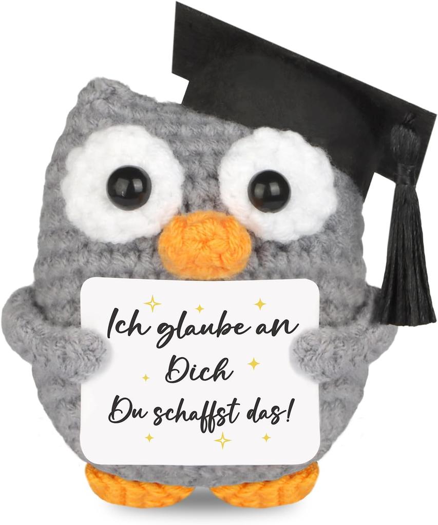 Knitted Owl Positive Gifts, Pocket Hug Owl, Encouragement Gift, Get Well Soon Gift, Lucky Charm Exam Gift, Owl Doll, Pack of 1