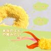 SONGWAY Cat Toy, Cat Teaser, Feather Cat Toy, Shrimp Tempura, 3 Replacement Pieces