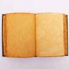 Triple Moon Journal - Zinc Symbol 200 Pages