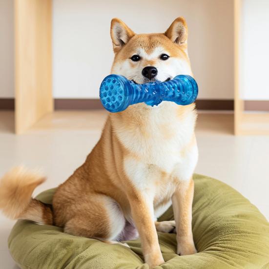 Dog Squeaky Toys Sound Interactive Chew Toy with 360° Thorny Texture for Teeth Cleaning