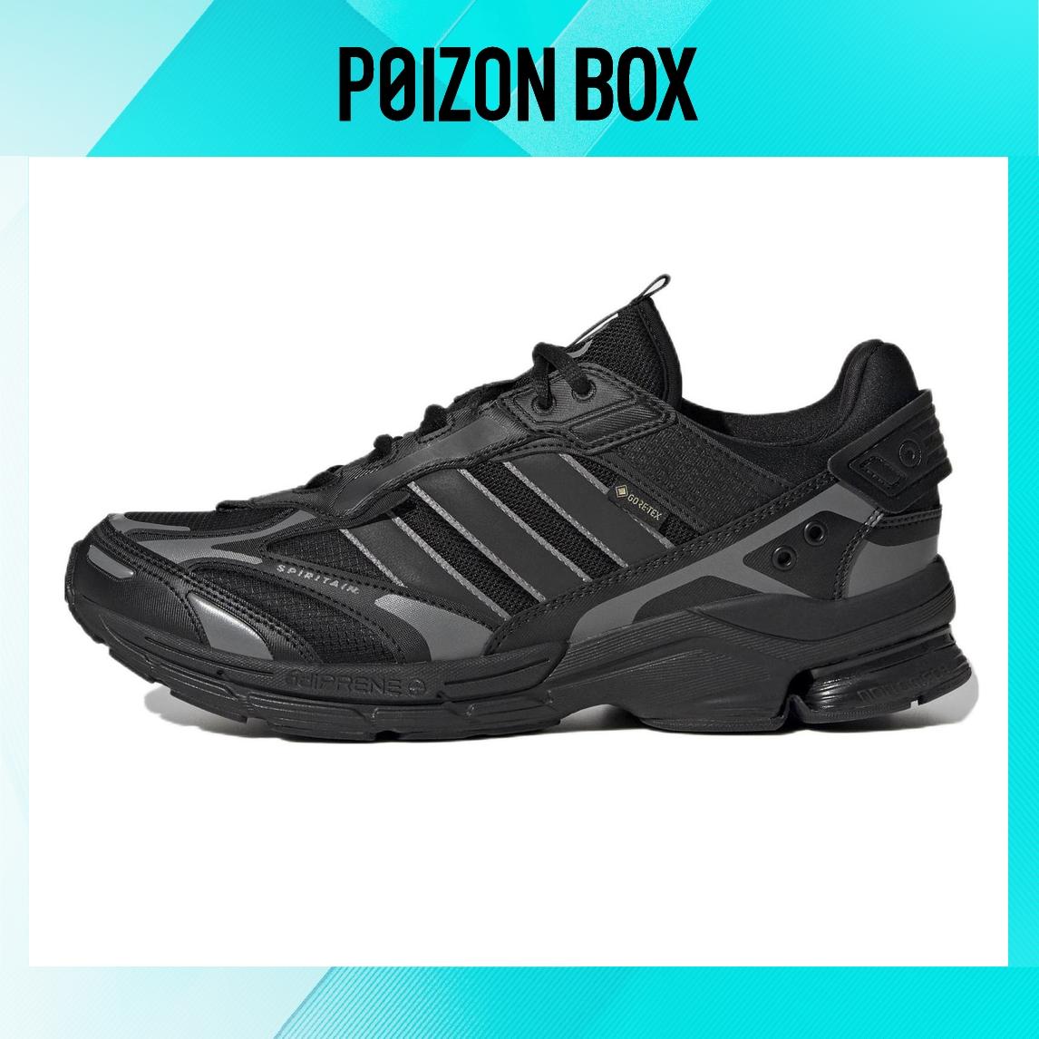 

кроссовки Unisex adidas Spiritain 2000 Running shoes HP6716