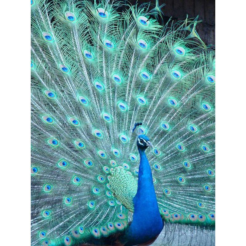 DIY Peacock 5D Diamond Painting Full Round Drill Animal Diamond Embroidery Cross Stitch Mosaic Kits Home Decor Drop&amp;ship Art