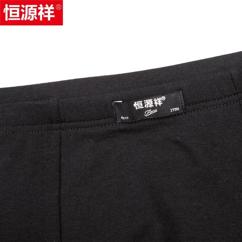 Hengyuanxiang Men's Plus Size Cotton Boxer Briefs
