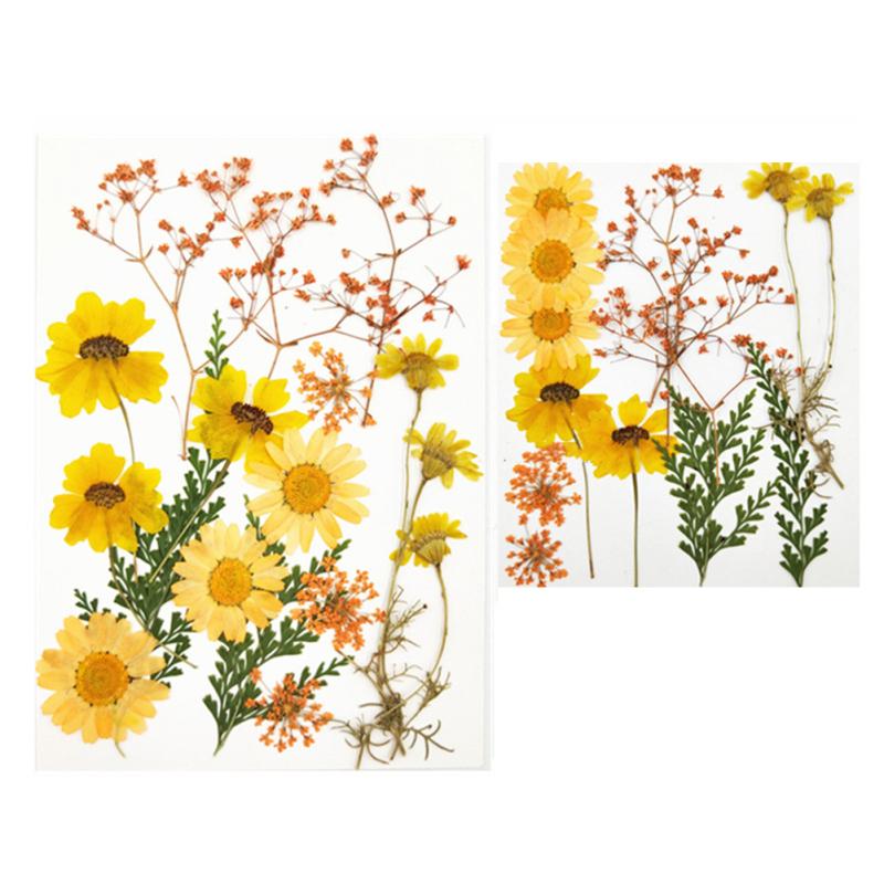 4 Inch 6 Inch Diy Glass Photo Frame Handmade Creative Simple Dried Flower Picture Frame Minimalist