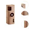 Cat Bed with Climbing Tree And Scratch Post for Multiple Cats