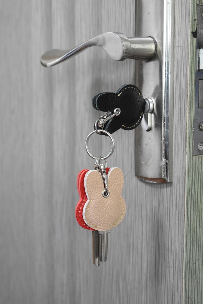 [EXQUIS] 3 Color Set Key Cover Key Case Small Gift