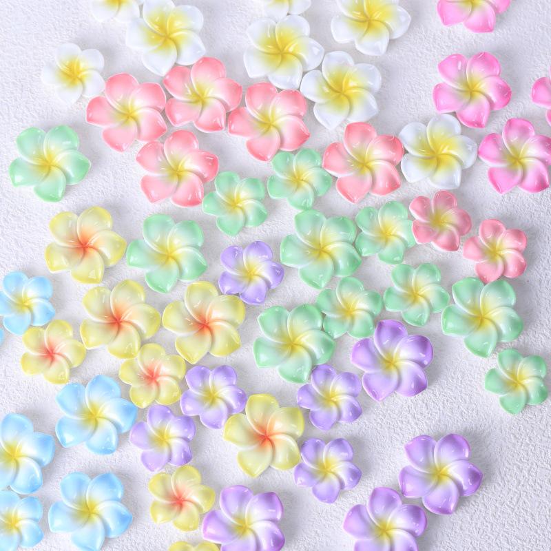 Frangipani Harzblume DIY Schmuck: Schlüsselanhänger, Anhänger, Haarspangen und Aufnäher