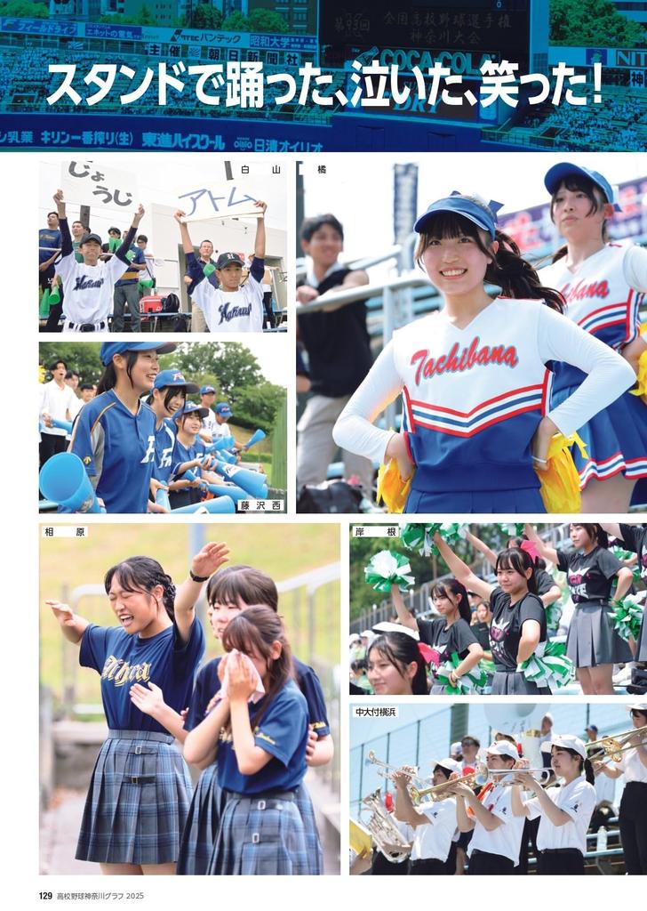 Kanagawa High School Baseball Graph (2025)