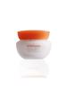 Elasticity Cream 75ml Single