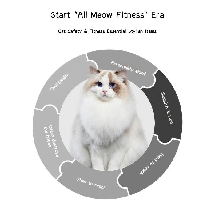 Cat Treadmill Running Wheel Interactive Pet Toys Cat Silent Sport Anti-depression Treadmill Cat Exercise Wheel