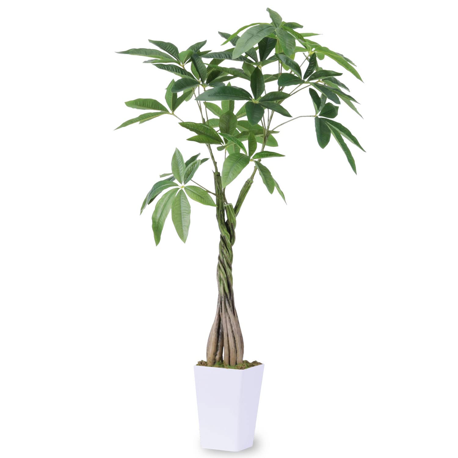 

Рувенус Искусственное Дерево Искусственный Очиститель Воздуха Высотой 98 см Комнатные Офисные Горшечные Растения Растения, Комнатные Растения, Цветы, Фотокатализатор,