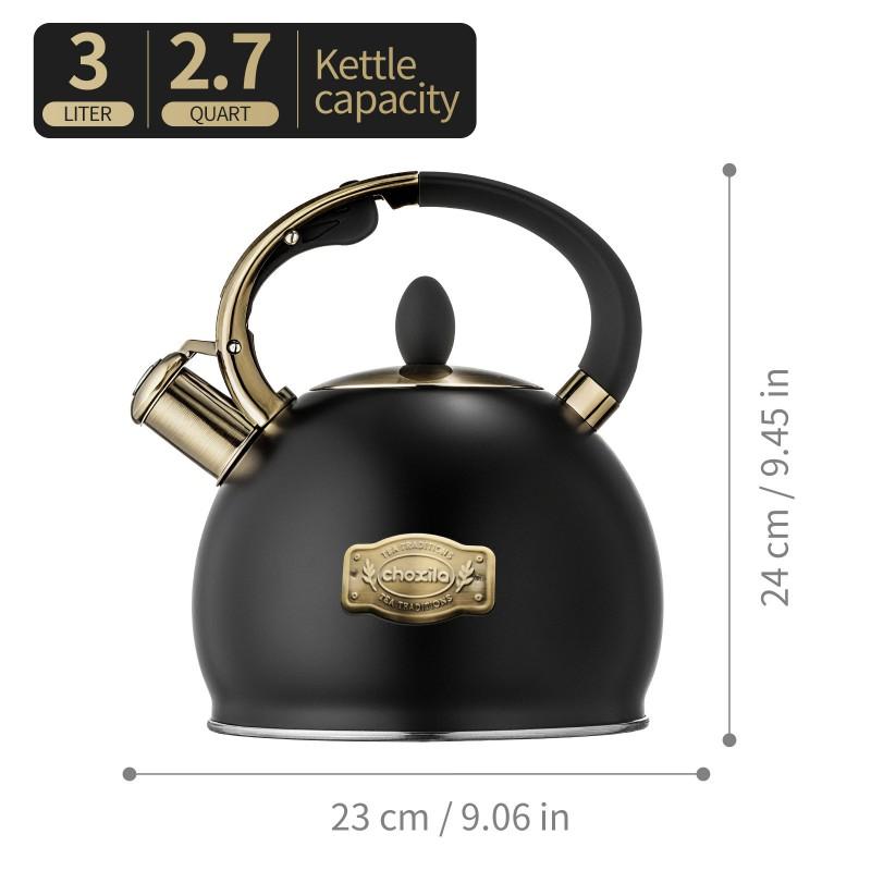 3L Stainless Steel Whistling Kettle Home Use Modern Minimalist Design 304 Food-Grade Black 3L чёрный