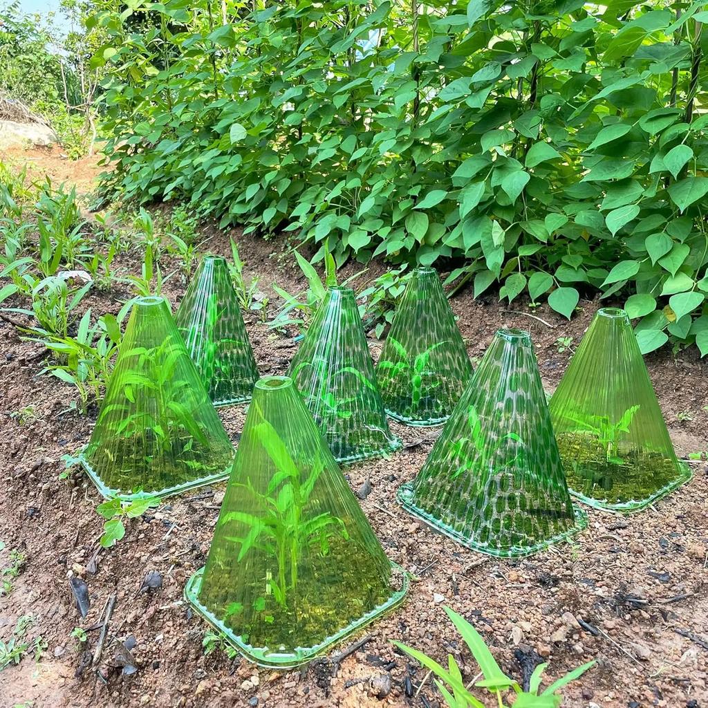 Acoperire pentru răsaduri de grădină