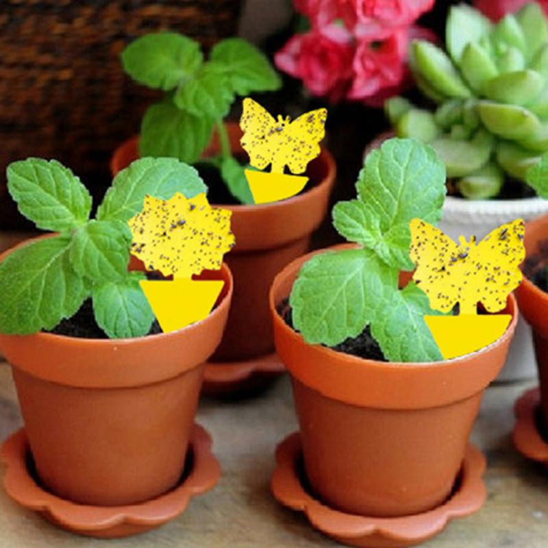 30-10PC Heterotypic Sticky Insect Board for Home Courtyard Flower Pest Control Catcher, Flower Pot, Garden Flower Insect Heterotypic Trap