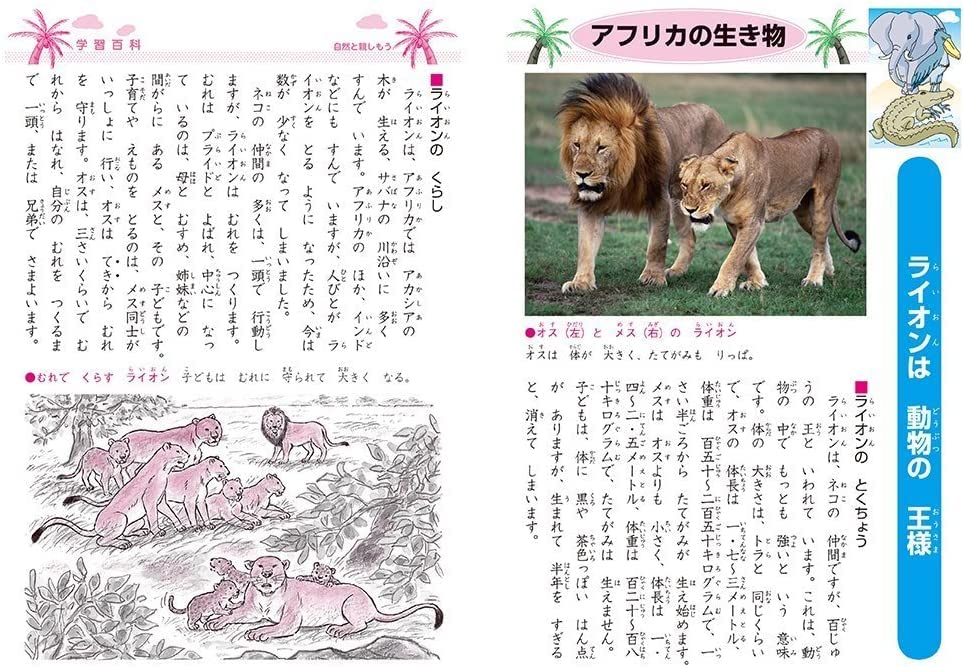 Showa Notebook Japonica Japanese Language with Auxiliary Notebook, 12-Grid Lines, B5, 5-Pack, JL-9