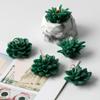 3D Succulent Plants Candle Mold Cactus Silicone Mold Candle Holder Mold Gypsum Plaster Silicone Mould Candle Mould
