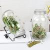 82Mm Wide Mouth Seed Sprouter Germination Cover Sprouting Lid Hydroponic Vegetable Bean Seedling Jar Lid With Drainage Net