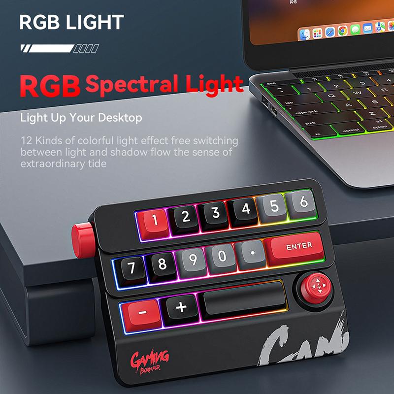 Mechanical Keypad 19 Key Macro Programmable Fully Hot Swappable Mechanical Switch 12 Color Rgb Light Gaming Mini Keyboard