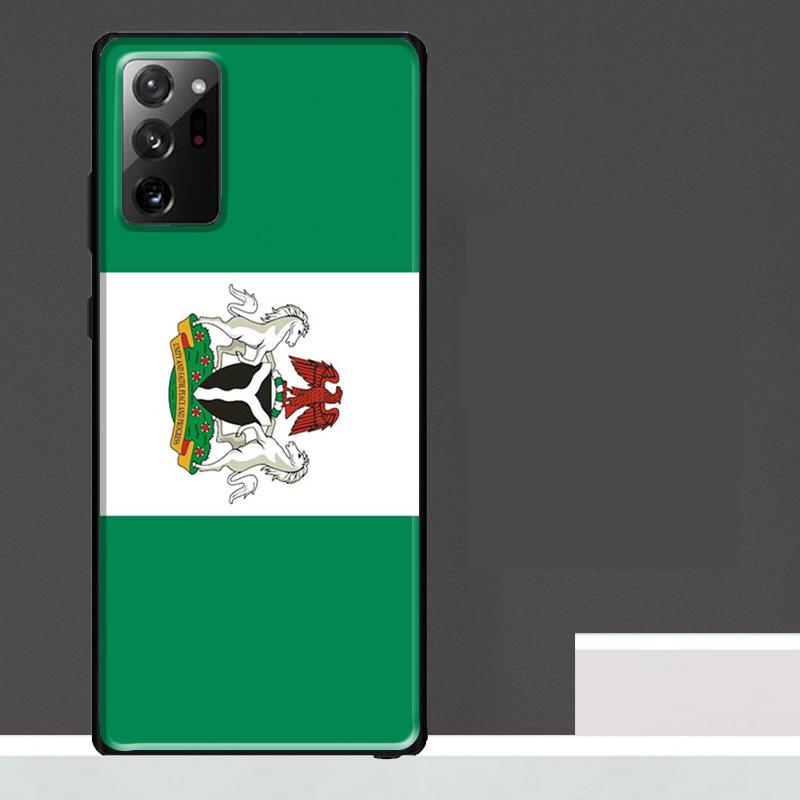 Nigerian flag Case For Samsung Galaxy S25 S24 S23 Ultra S9 S10 S20 S21 S22 Plus S23 FE S25 FE Phone Cover