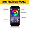 4in1 Car 6M LED Interior RGB Fiber Neon Optic EL Wire Strip Light Atmosphere APP