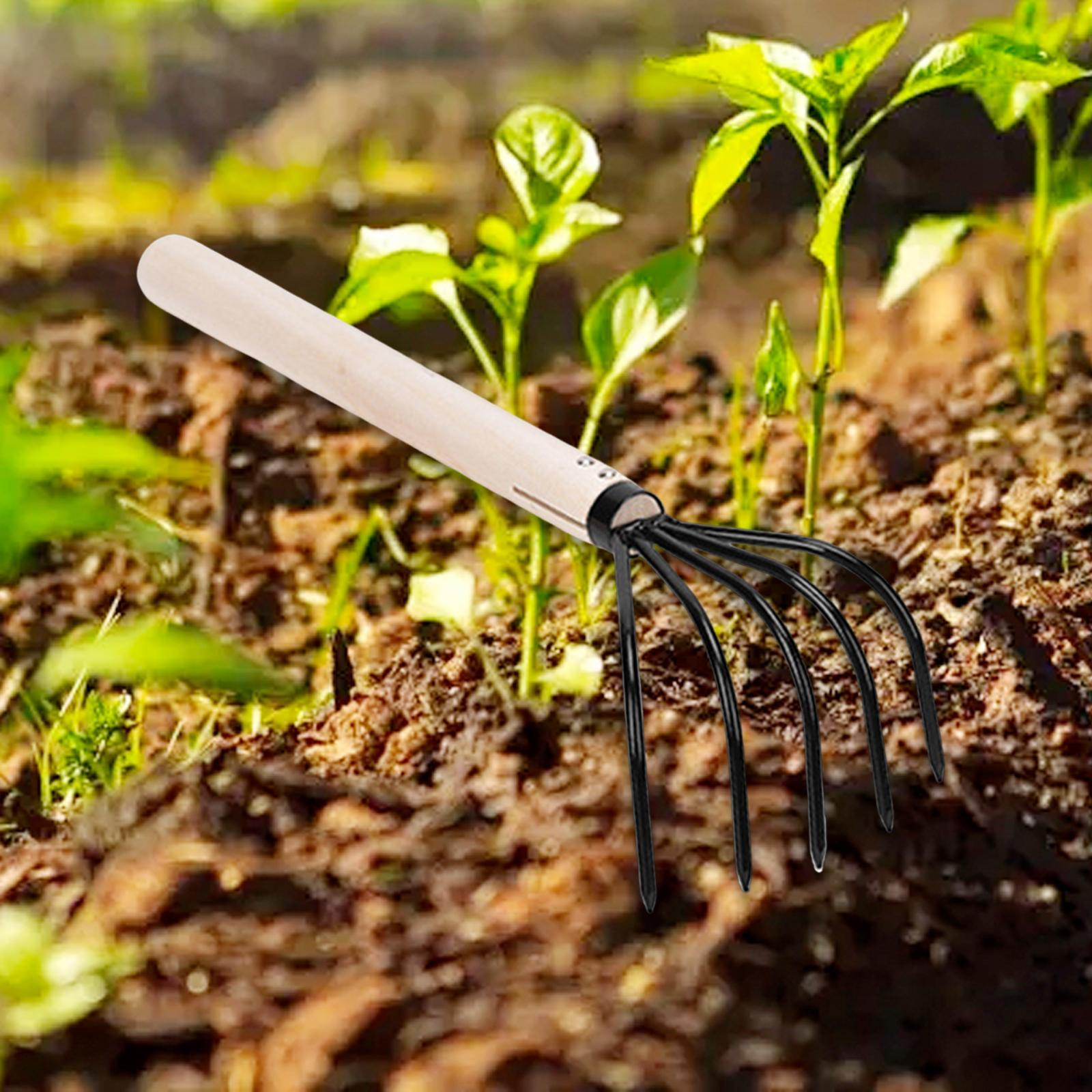 

Коготь для садовых граблей с 5 зубцами. Практичный, простой в использовании, легкий в использовании. 36cmx10cm