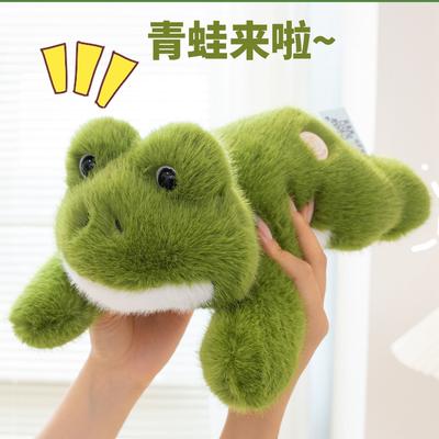 Mignonne Grenouille Poupée Jouet Peluche Grenouille Verte Poupée Chiffon Coussin Jetable Enfants
