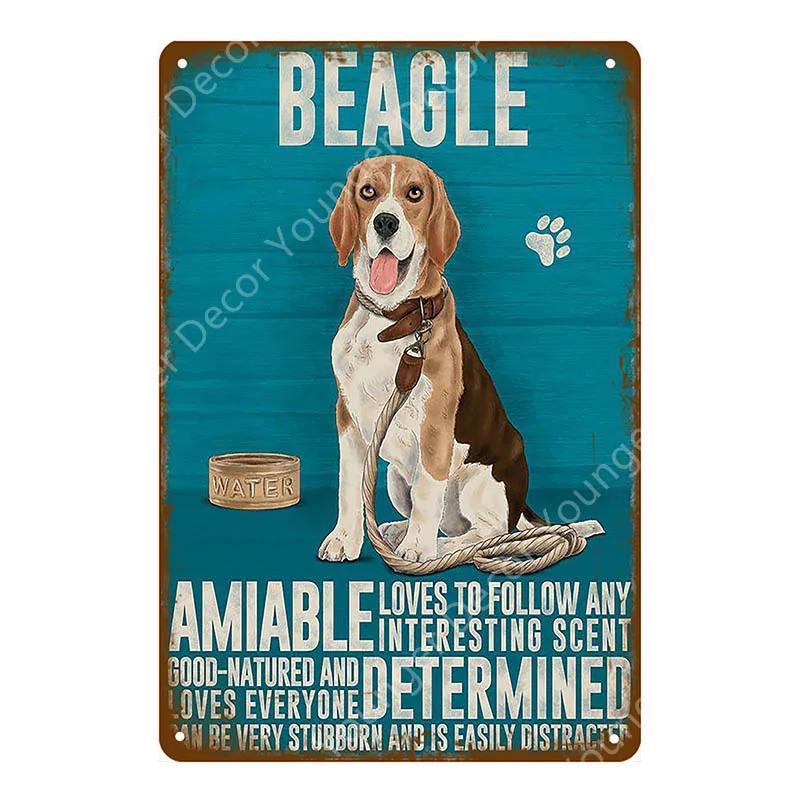 Animal Dog Cat Vintage Metal Poster Home Decor Retro Tin Sign For Pub Bar Club Decorative Plate Poodle Wall Plaque