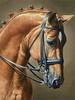 Pittura Diamante 5D Nuovi Arrivi Cavallo Ricamo Rotondo Completo Animali Mosaico Regalo Fatto a Mano Decorazione per la Casa