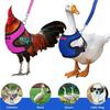 Chicken and Duck Leash Pet Leash New Pet Dog Leash
