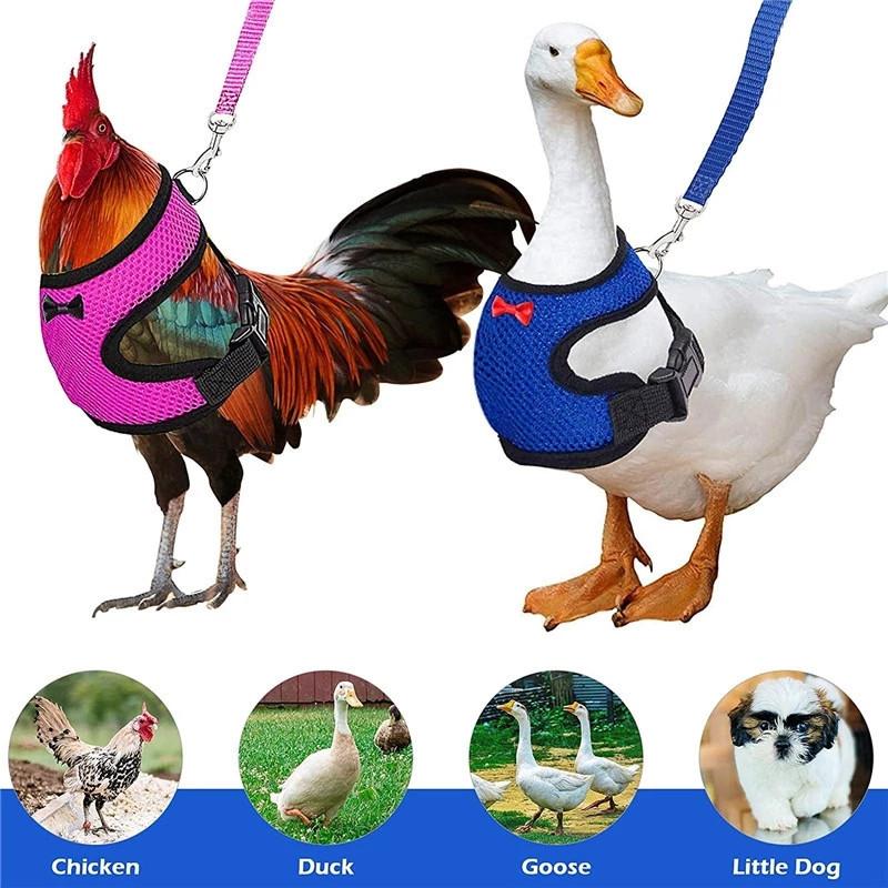 Chicken and Duck Leash Pet Leash New Pet Dog Leash