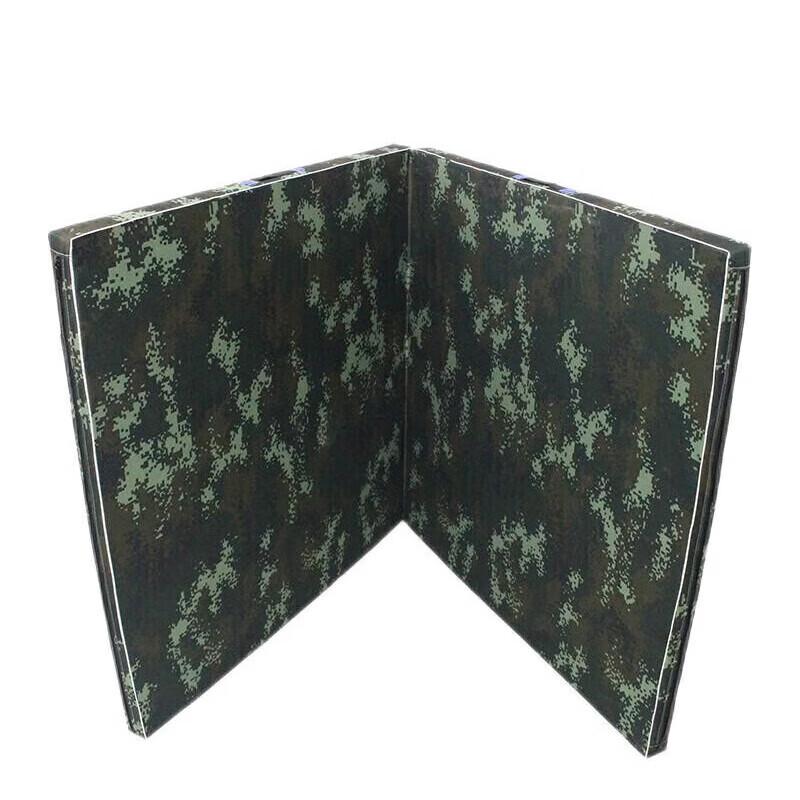 Shouli Zhanshen Multi-Purpose Training Mat