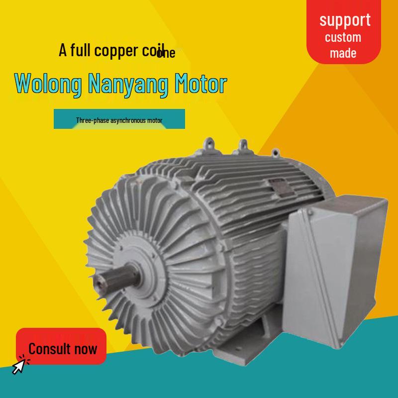 

Wolong YP Series High-Efficiency Three-Phase Asynchronous Motor with Full Copper Coils