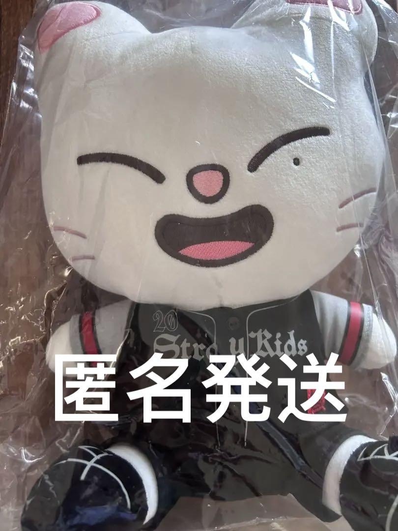 

[Б/У] Jinlet Хёнджин Stray Kids SKZOO Ecopa Плюшевая игрушка