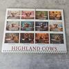 Highland Cow Calendar 2026 Scottish Cow Wall Calendar Hanging Monthly Planner Animal