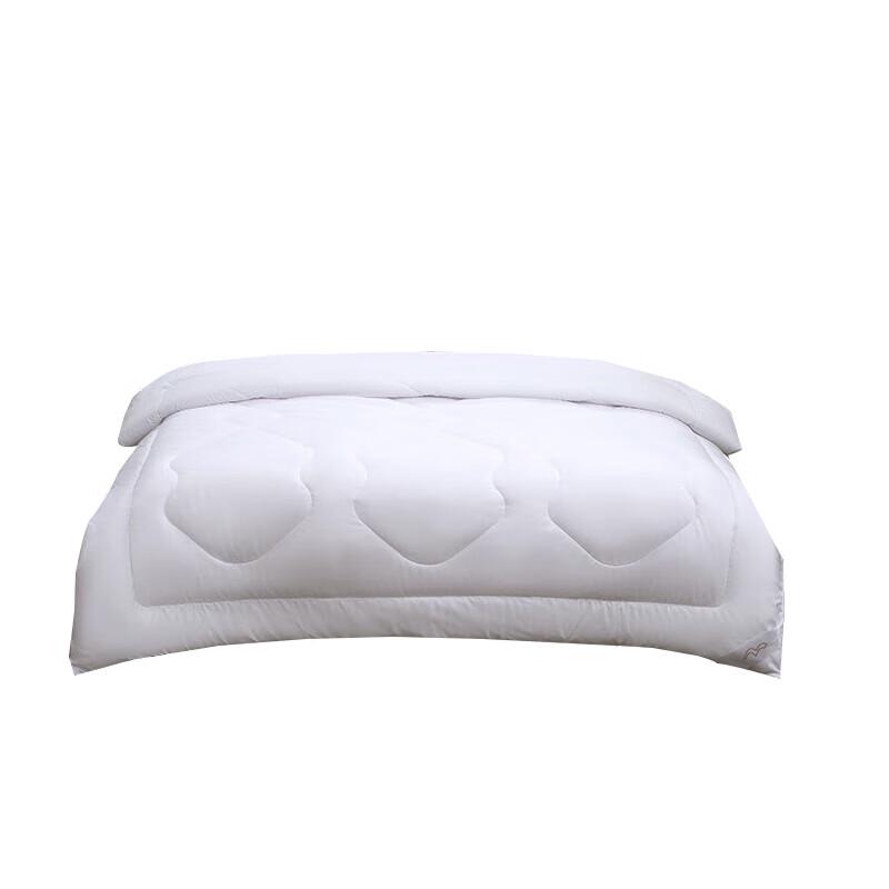 

Mercury Home Textiles DH Dusan Antibacterial All-Season Quilt