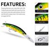 PRO BEROS Sea Fishing Minnow Lure, 17cm/27g, Hard Plastic Bait, 10 Color Options - Model DW358