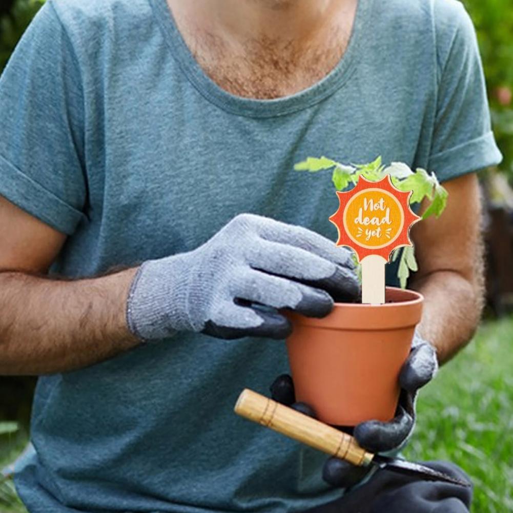Étiquettes de plantes mignonnes Étiquettes de plantes rustiques Étiquettes de plantes en bois pour plantes en pot 20 styles Jardinage pour fleurs Pour jardiniers