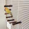 Parrots Grinding Scratchers Perch Cage Mount Bird Ladder Cage Toy Rod Swing Rack Toy Grinding Perch Supplies