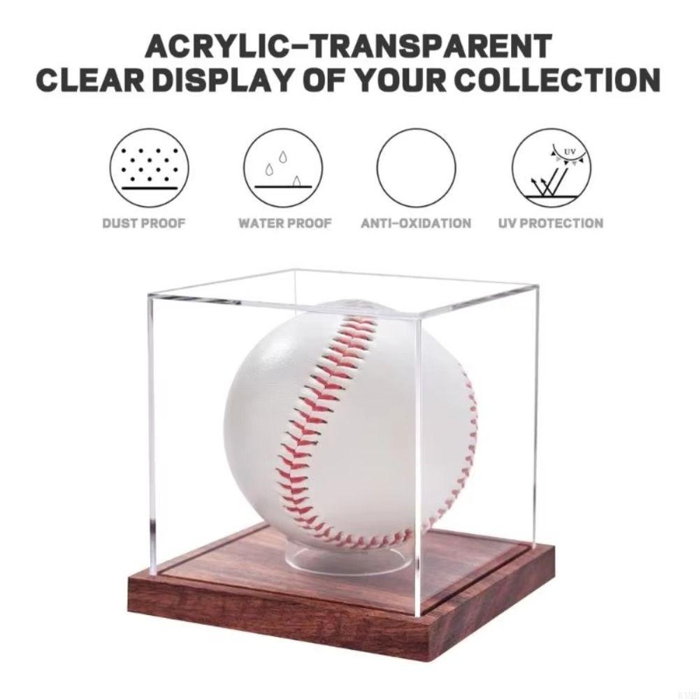 Transparent Baseball Box Quality Acrylic Baseball Holder Baseball Display Case  Golf Tennis Ball