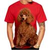 Kawaii Poodle Dog 3D Print Animal T-shirts Men Woman Fashion Streetwear Short Sleeve T Shirt Harajuku Tops Tees Kids Clothing